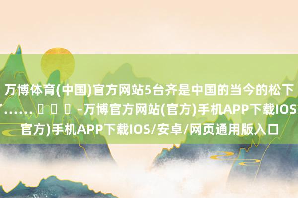 万博体育(中国)官方网站5台齐是中国的当今的松下的确齐快成了电板厂了…… ​​​-万博官方网站(官方)手机APP下载IOS/安卓/网页通用版入口