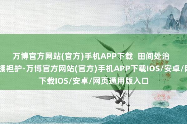 万博官方网站(官方)手机APP下载  　　田间处治  　 定植后用小拱棚袒护-万博官方网站(官方)手机APP下载IOS/安卓/网页通用版入口