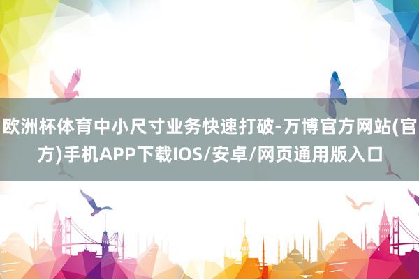 欧洲杯体育中小尺寸业务快速打破-万博官方网站(官方)手机APP下载IOS/安卓/网页通用版入口