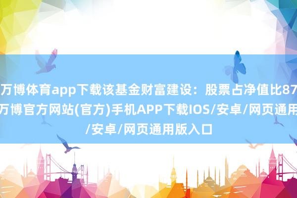 万博体育app下载该基金财富建设：股票占净值比87.19%-万博官方网站(官方)手机APP下载IOS/安卓/网页通用版入口