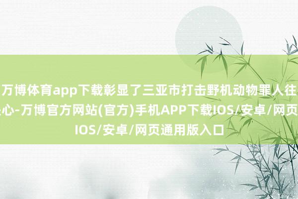 万博体育app下载彰显了三亚市打击野机动物罪人往还的将强决心-万博官方网站(官方)手机APP下载IOS/安卓/网页通用版入口