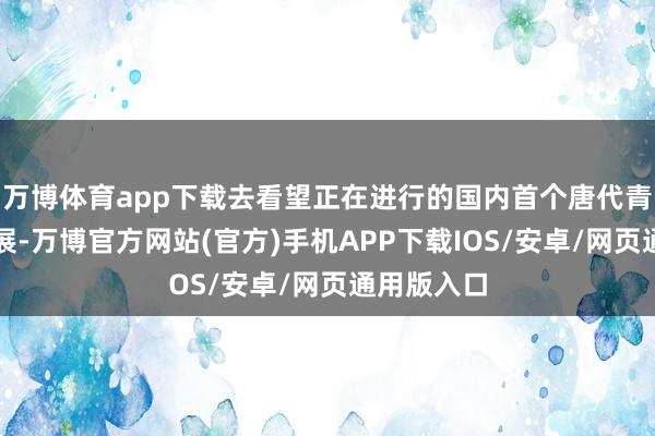 万博体育app下载去看望正在进行的国内首个唐代青花瓷专题展-万博官方网站(官方)手机APP下载IOS/安卓/网页通用版入口