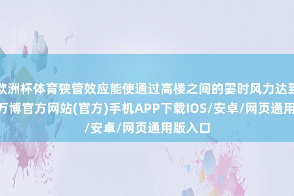 欧洲杯体育狭管效应能使通过高楼之间的霎时风力达到12级-万博官方网站(官方)手机APP下载IOS/安卓/网页通用版入口