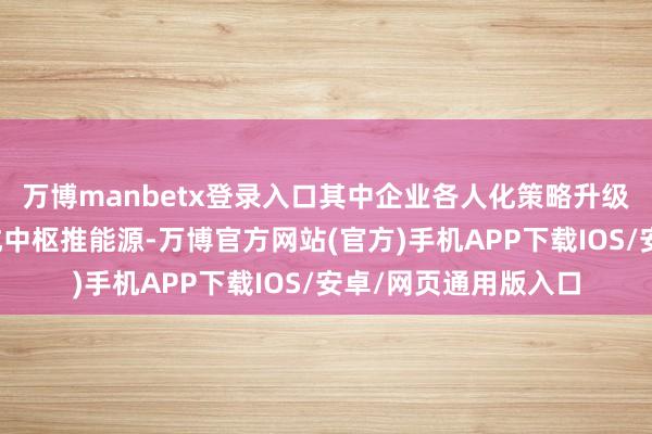 万博manbetx登录入口其中企业各人化策略升级与外部环境压力组成中枢推能源-万博官方网站(官方)手机APP下载IOS/安卓/网页通用版入口