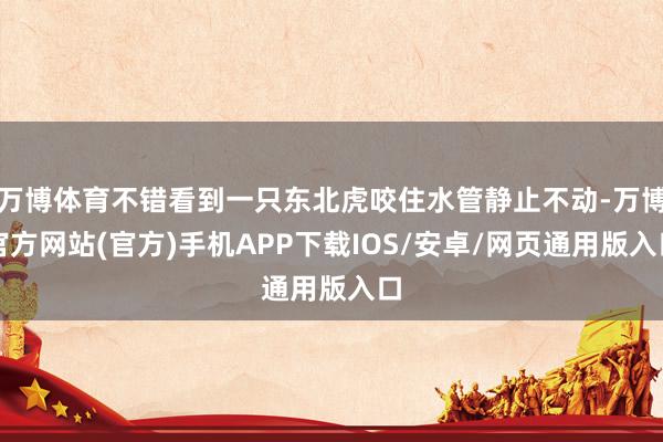 万博体育不错看到一只东北虎咬住水管静止不动-万博官方网站(官方)手机APP下载IOS/安卓/网页通用版入口
