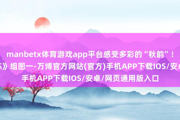 manbetx体育游戏app平台感受多彩的“秋韵”！\n\n《太极晨练》组图一-万博官方网站(官方)手机APP下载IOS/安卓/网页通用版入口