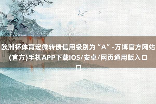 欧洲杯体育宏微转债信用级别为“A”-万博官方网站(官方)手机APP下载IOS/安卓/网页通用版入口