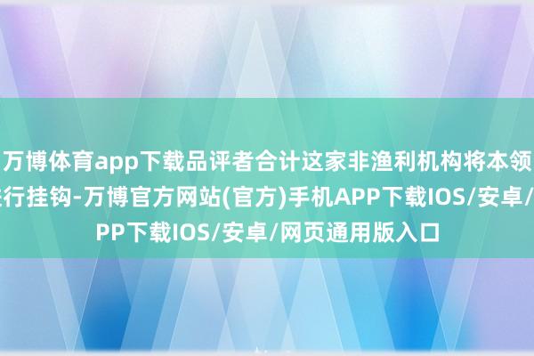 万博体育app下载品评者合计这家非渔利机构将本领的逾越与利润进行挂钩-万博官方网站(官方)手机APP下载IOS/安卓/网页通用版入口