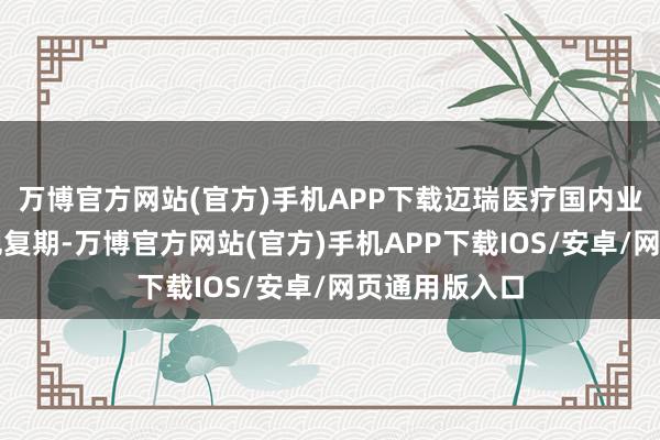 万博官方网站(官方)手机APP下载迈瑞医疗国内业务或将迎来规复期-万博官方网站(官方)手机APP下载IOS/安卓/网页通用版入口