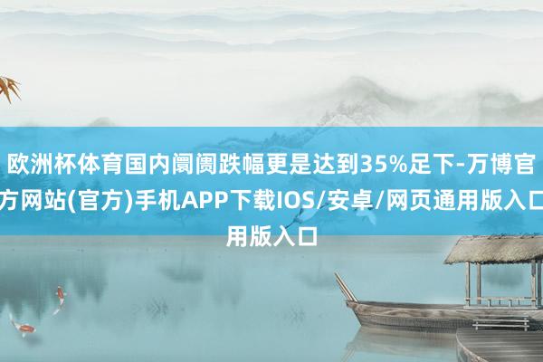欧洲杯体育国内阛阓跌幅更是达到35%足下-万博官方网站(官方)手机APP下载IOS/安卓/网页通用版入口